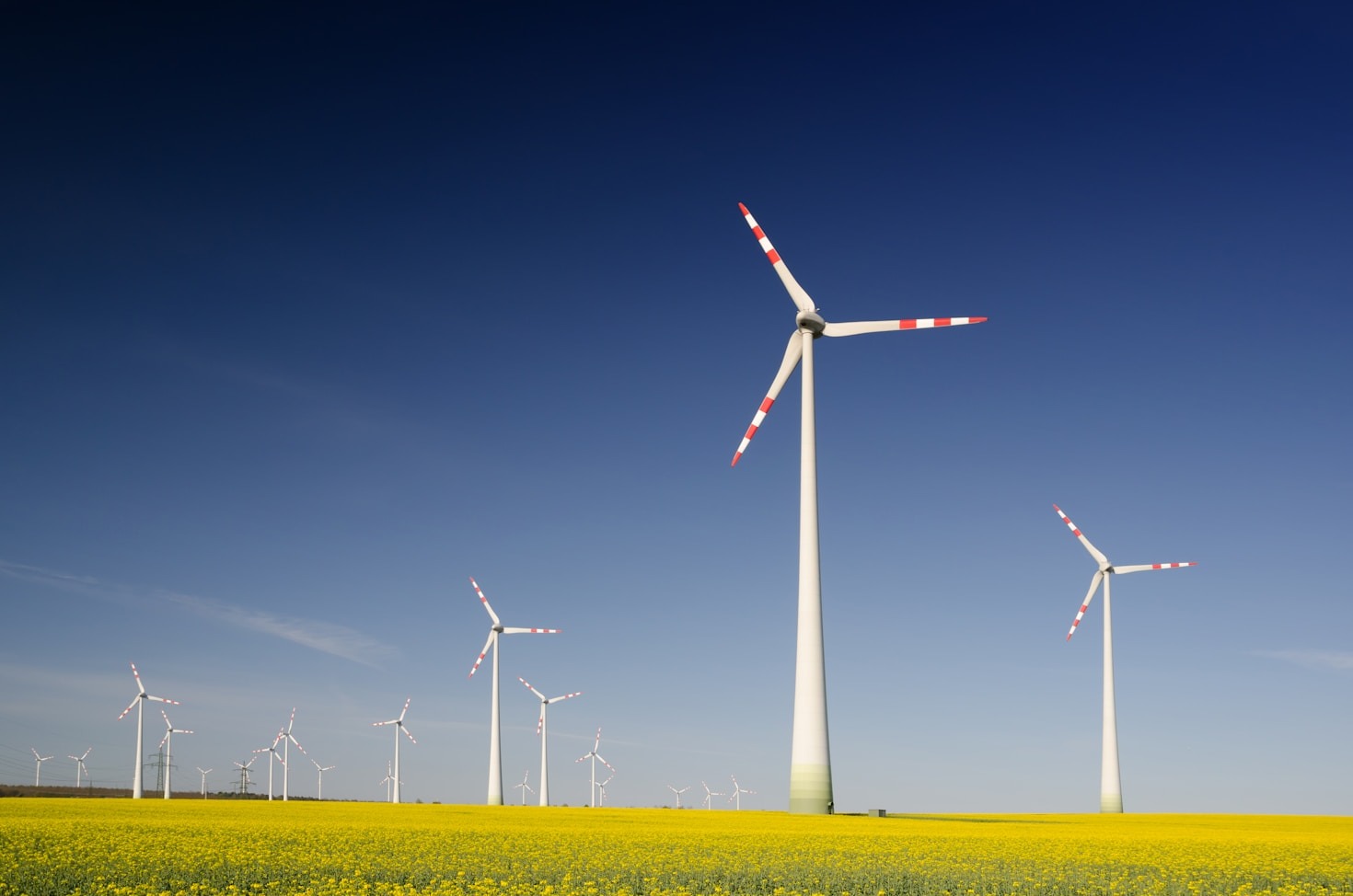 Driving Cross-Sectoral Collaboration for the Green Economy