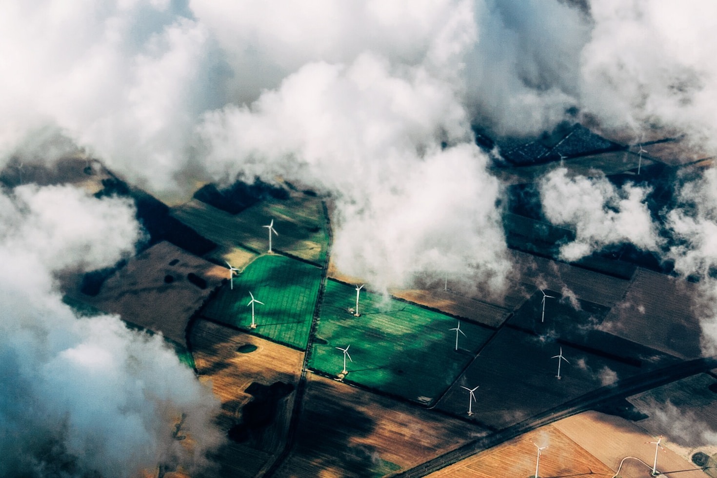 Achieving Transparency in Sustainability Efforts